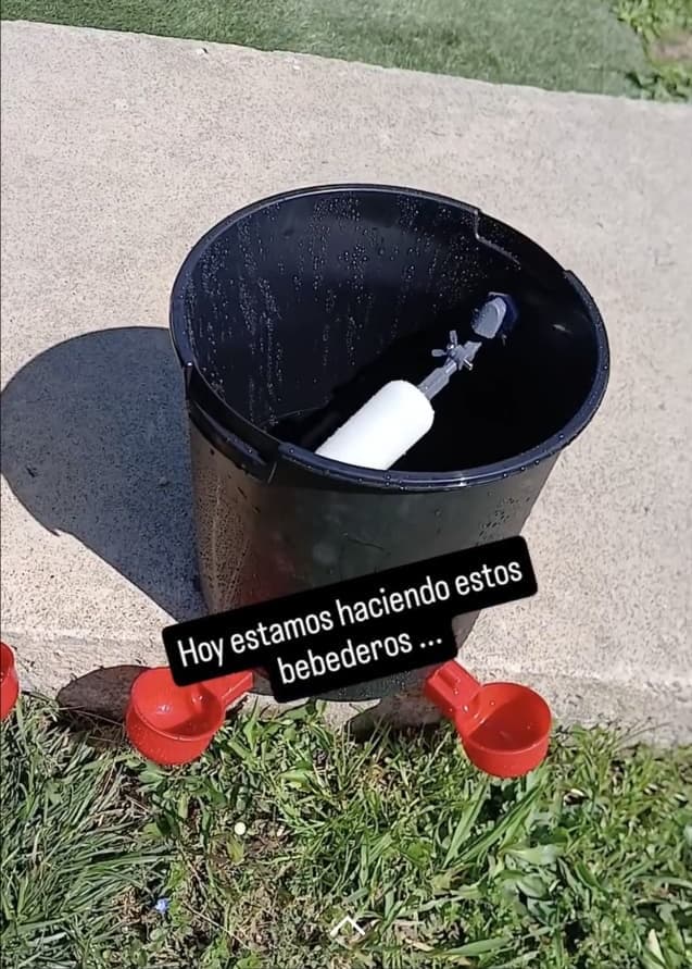 Bebedero automático