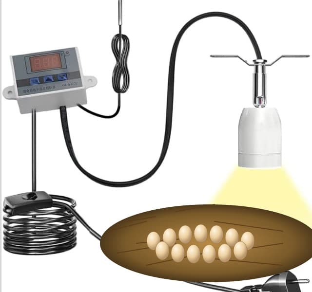 Sistema calefactor pollitos