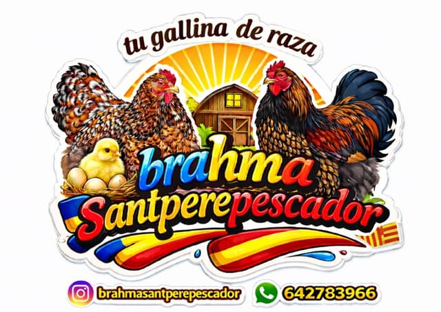 Logo Brahma Sant Pere Pescador